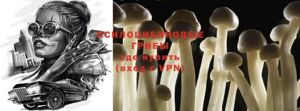 дживик Беломорск