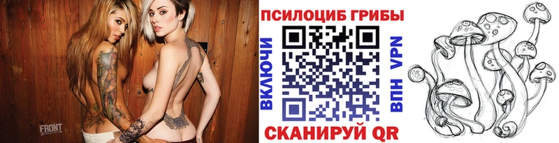 блэк спрут зеркало  Отрадное  Псилоцибиновые грибы Psilocybe 